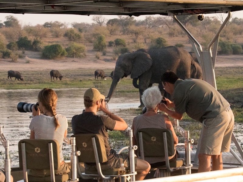 What is a Photo Safari? Definition by Pangolin Photo Safaris