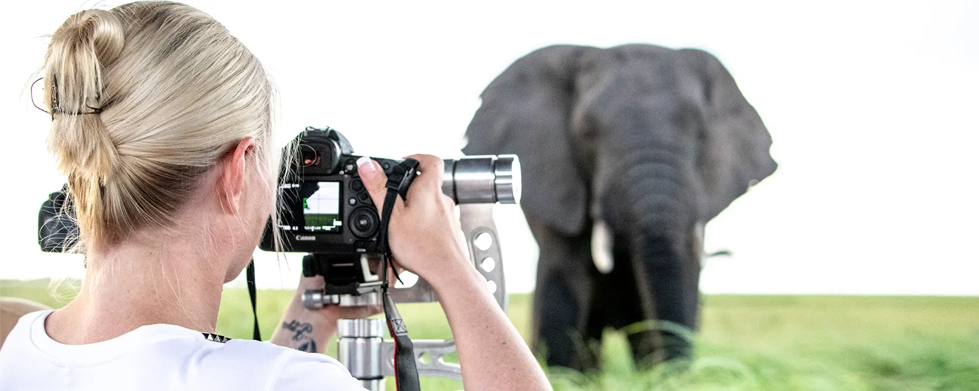 photographing elephants in the Chobe